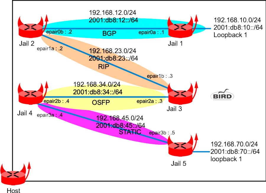 simple_bgp_rip_ospf_with_bird.png